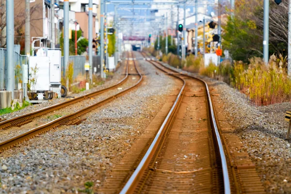 Railroad : a track or set of tracks made of steel rails along wh