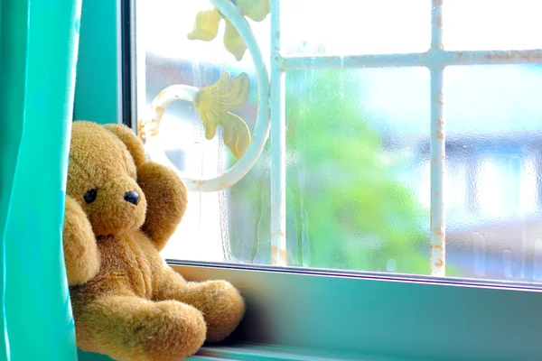 Loneliness, lonely little bear sitting by the window.