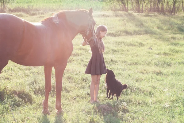 Girl leads her horse and stroking black dog