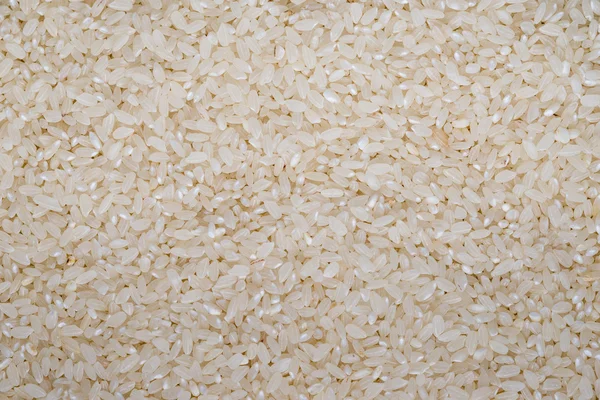 Food background of white round rice