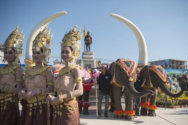 Elephants and People at the Elephant Square