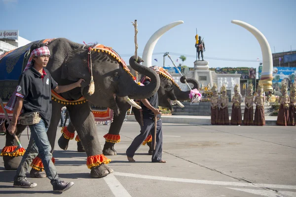 Elephants and People at the Elephant Square