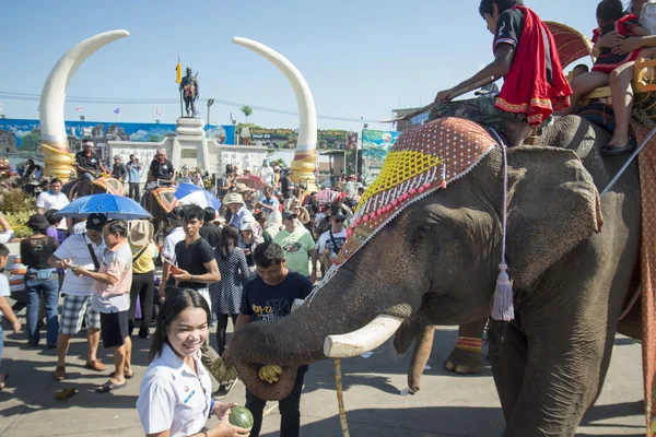 Elephants and People at the Elephant Square