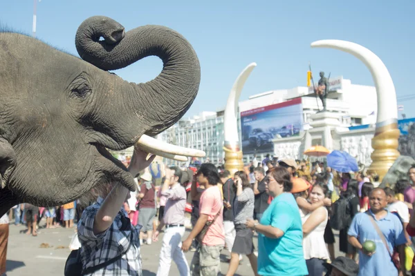 Elephants and People at the Elephant Square