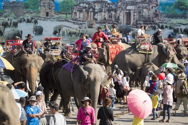 Elephants and People at the Elephant Square