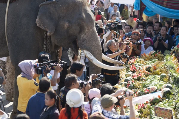 Elephants and People at the Elephant Square