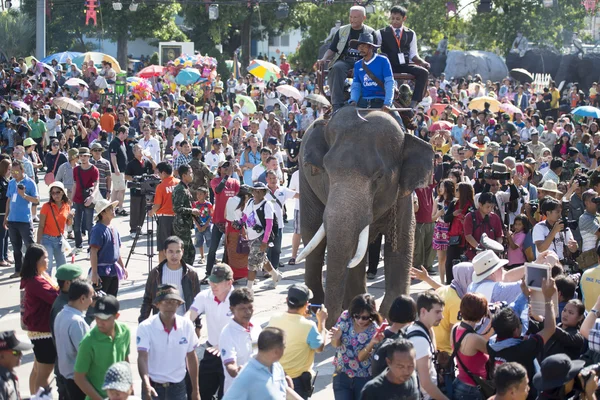 Elephants and People at the Elephant Square