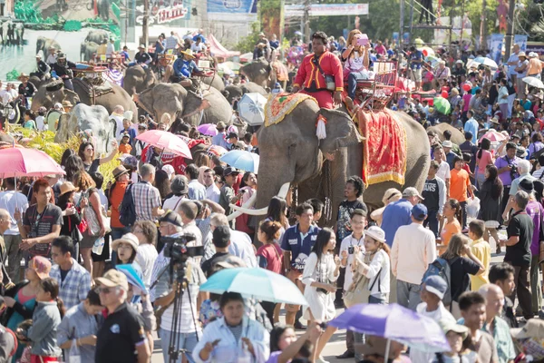 Elephants and People at the Elephant Square