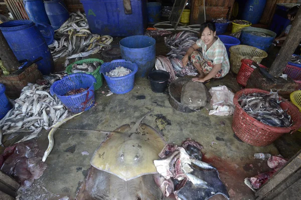 ASIA MYANMAR MYEIK DRY FISH PRODUCTION