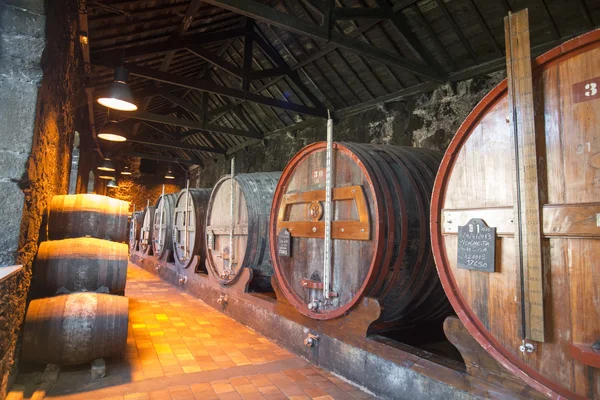 Port wine Cellar of Ferreira