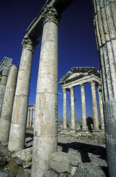 Ruins of Apamea near the city of Hama