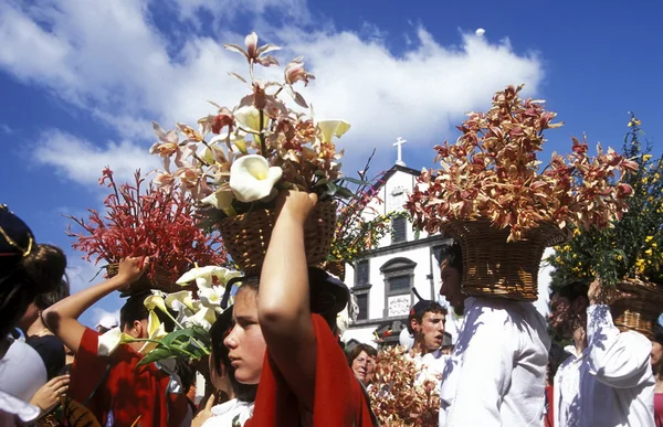 Parade of the Spring Flower Festival