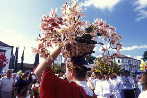 Parade of the Spring Flower Festival