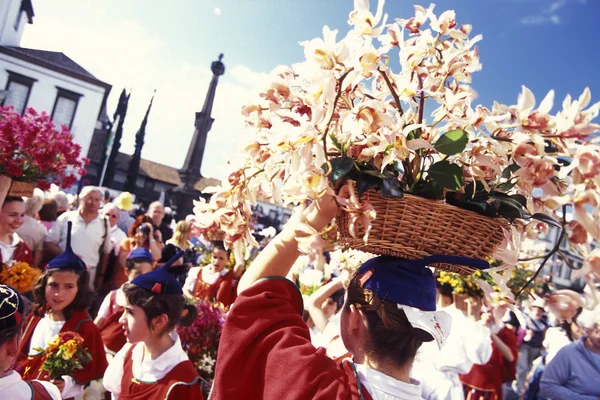 Parade of the Spring Flower Festival