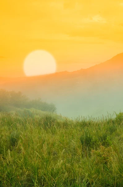 Landscape at sunset