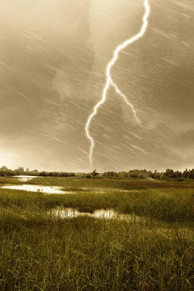 Stormy sky over the swamp