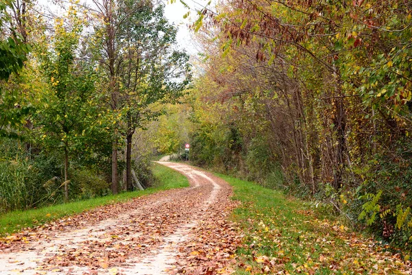 Path in the park