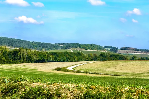 Beautiful landscape, France, Champagne,