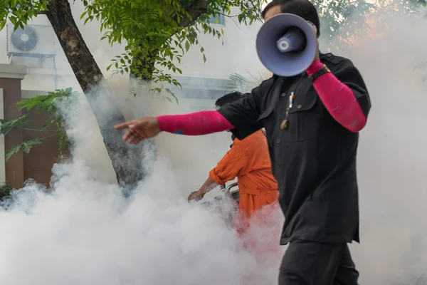 Fogging DDT spray kill mosquito