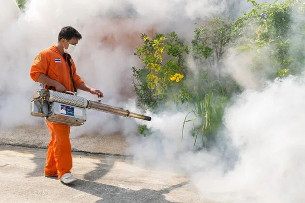 Fogging DDT spray kill mosquito
