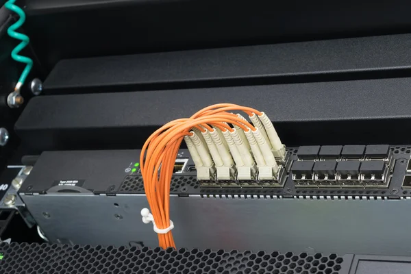 Network switch and fiber optic cable