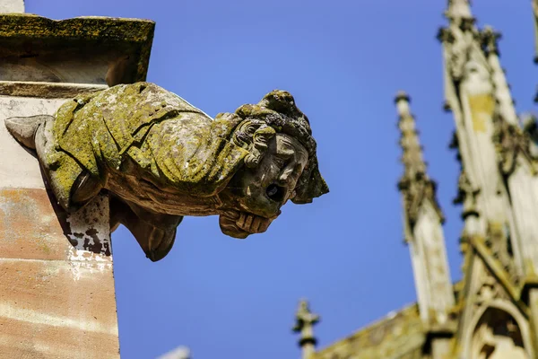 Gargoyle on a gothic cathedral, detail of a tower on blue sky ba