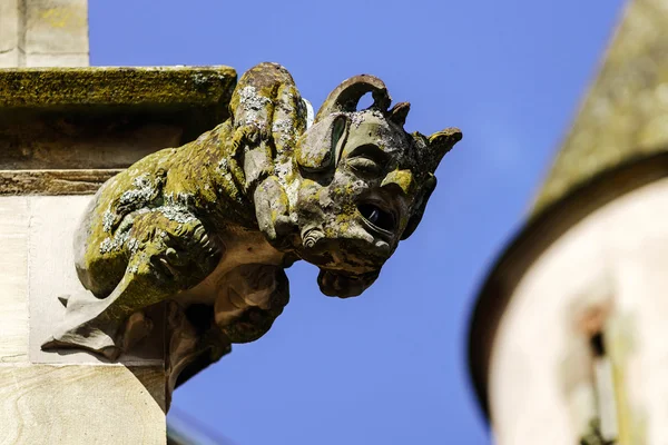 Gargoyle on a gothic cathedral, detail of a tower on blue sky ba