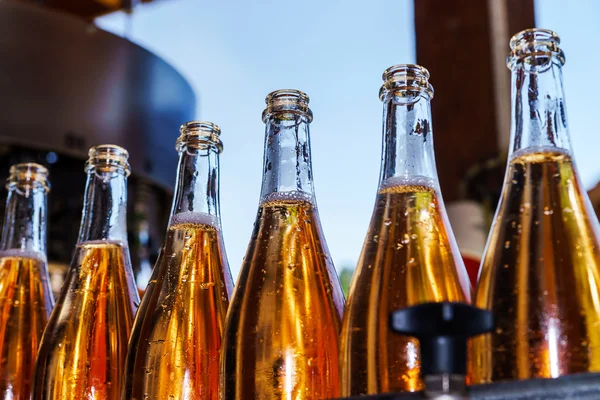 Automation bottling line for produce champagne in Alsace