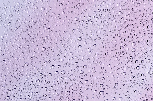 Drops on the glass, lilac-pink background