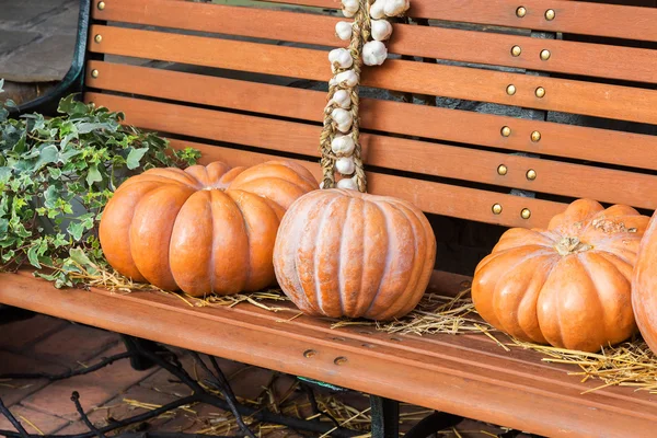 Pumpkin and garlic for holiday Halloween on old wooden bench