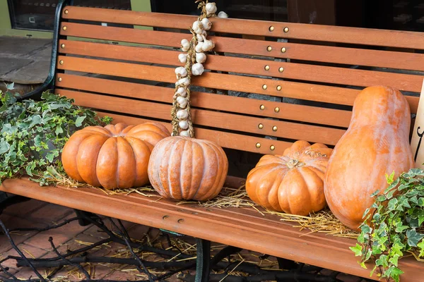 Pumpkin and garlic for holiday Halloween on old wooden bench