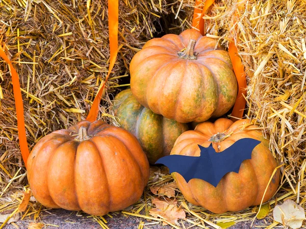 Pumpkin and garlic for holiday Halloween on old wooden bench