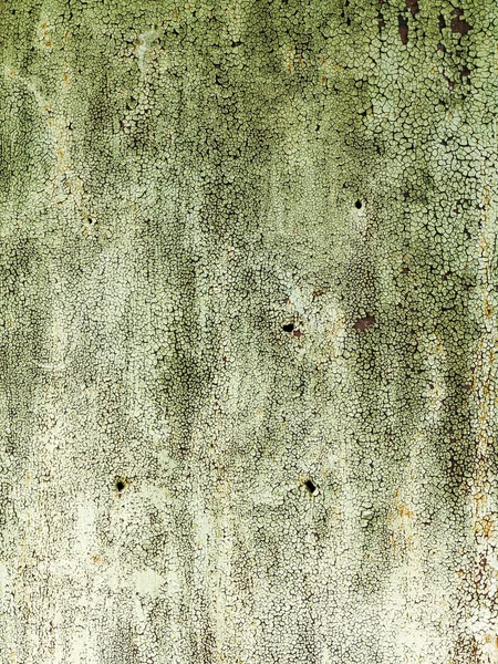 Textured background cracked green paint on an old metal gate. Gr