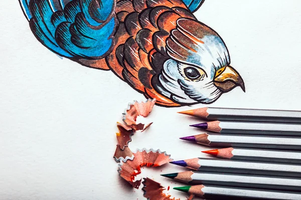 Beautiful sketch drawing of a parrot