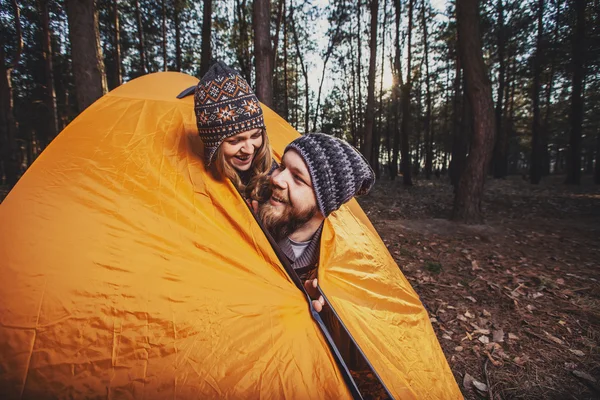 Hikers setting a tent in the wood