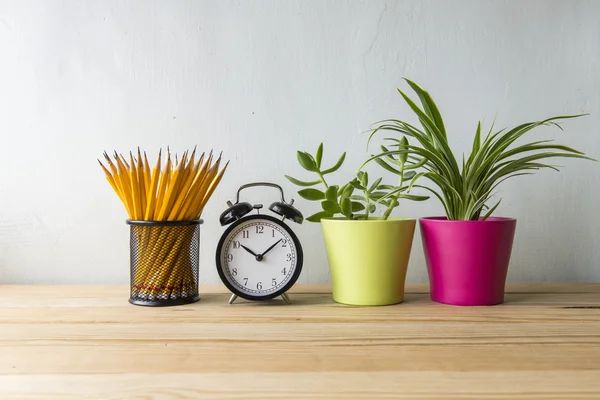 Indoor plant on wooden table and white wall