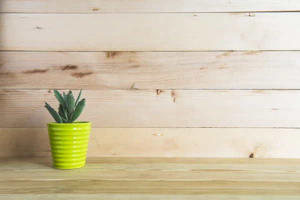Indoor plant on wooden table and wall