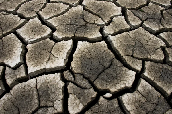 Dry cracked earth background, clay desert texture