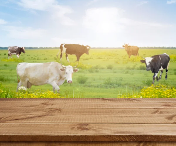 Wooden table over defocused background with cows and grass meadow