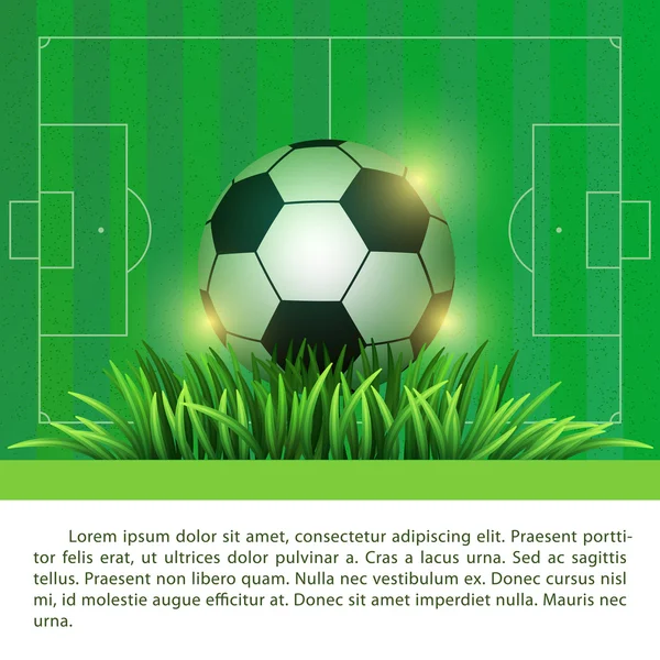 Soccer ball. Football ball. Green grass. Sport design. Time to play football