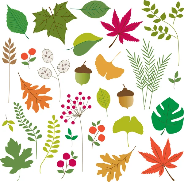 Leaves clip art