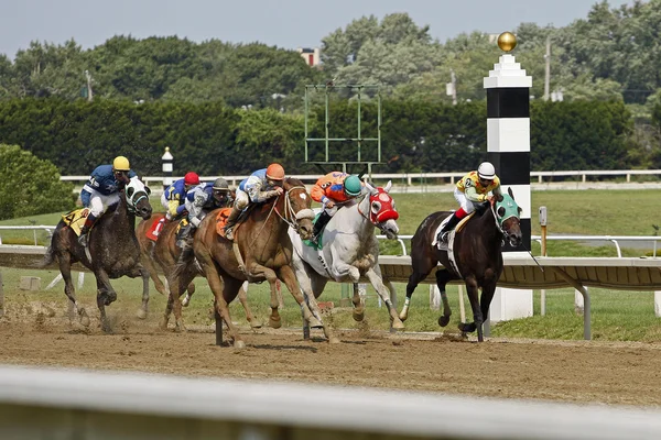 Horses race to the finish line