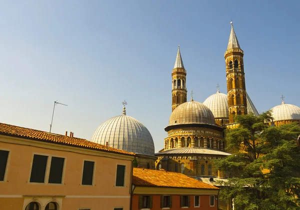 The Cathedral of St Anthony in Padua