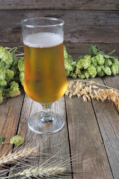 Beer glass with hops and barley