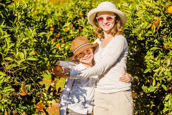 Smiling happy mother and son harvesting oranges mandarins at citrus farm