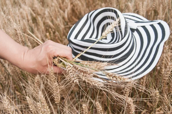 Retail of hand of Woman with hat in a Wheat field