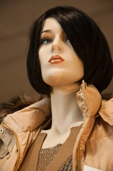 Mannequin winter fashion in a showroom