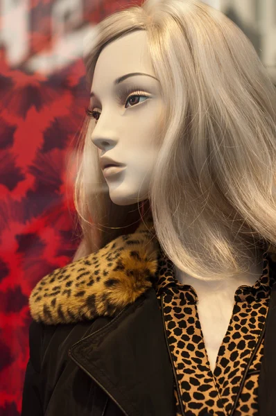 Mannequin winter fashion in showroom