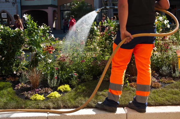 Gardener watering flowers in a urban park