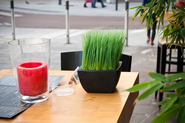 Decorative plant and candle on terrace of restaurant in the street